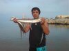 DSC01306.jpg