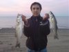 DSC01333.jpg
