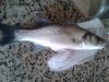20141019_093726.jpg