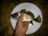 20141026_222038.jpg