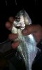 IMG-20141119-WA0008.jpg