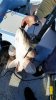 IMG-20150111-WA0001.jpg