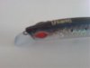 DSC01350.jpg