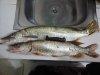 20150419_190339.jpg