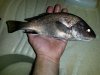 20150517_003108.jpg