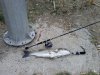CAM00877.jpg