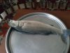 CAM00883.jpg