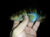 20150813_204617.jpg