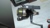 DSC04456.jpg
