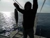 DSCN1316.JPG