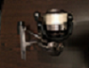IMG_0500png.png