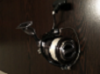 IMG_0502png.png