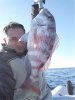 IMG_20160225_095635.jpg