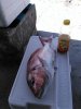 IMG_20160225_095720.jpg