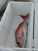 IMG_20160225_095916.jpg
