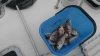 IMG_20160429_175357.jpg