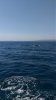 IMG_20160430_105108.jpg