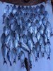 IMG-20160605-WA0003.jpg