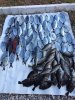 IMG-20160530-WA0007.jpg