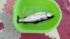 IMG-20160807-WA0000.jpg