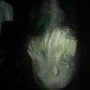 rsz_20160825_144159.jpg