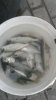 20161227_163841.jpg
