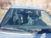 IMG-20170318-WA0012.jpg