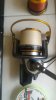 P_20170507_134703_1_p.jpg