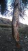 FB_IMG_1497636212524.jpg