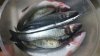 IMG-20171127-WA0000.jpg