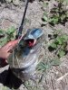 20180717_132221.jpg