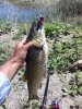 20180717_132225.jpg