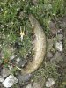 20180513_124245.jpg
