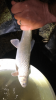 34094406-50DD-46E8-9D77-CC5DB23A5CAA-min.png