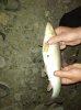 IMG-20210531-WA0002.jpg