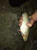 IMG-20210531-WA0000.jpg