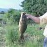 KAYIN_CARP