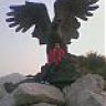 HARUN