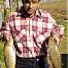 kral_dede