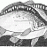 emrekoc9696