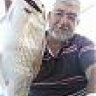 orhan kucukbicmen