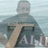 Talip Girgin