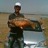 zinpiri