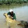 carp-cathunter