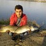 kral-ozcan