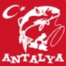 bayrakçı
