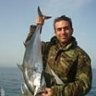 habib2424