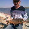 jaws43