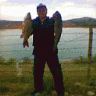 yasar381