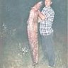 sarayli70